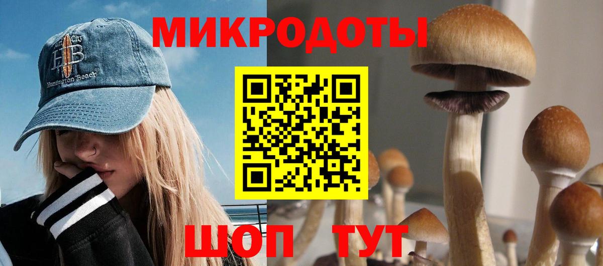 Псилоцибиновые грибы прущие грибы  Вход с VPN  Шали 