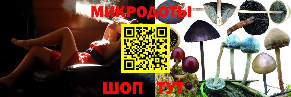 Галлюциногенные грибы ЛСД Шали